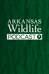 Arkansas Wildlife Podcast