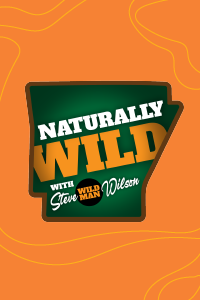 Naturally Wild with Steve Wild Man Wilson