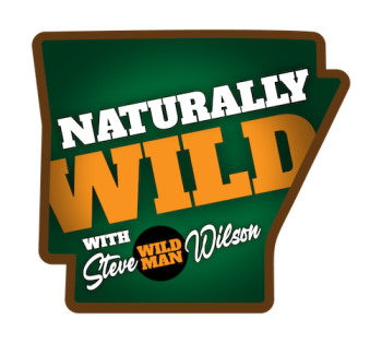 Naturally Wild with Steve Wild Man Wilson